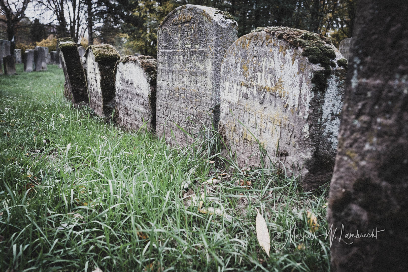 Witzenhausen, Jüdischer Friedhof